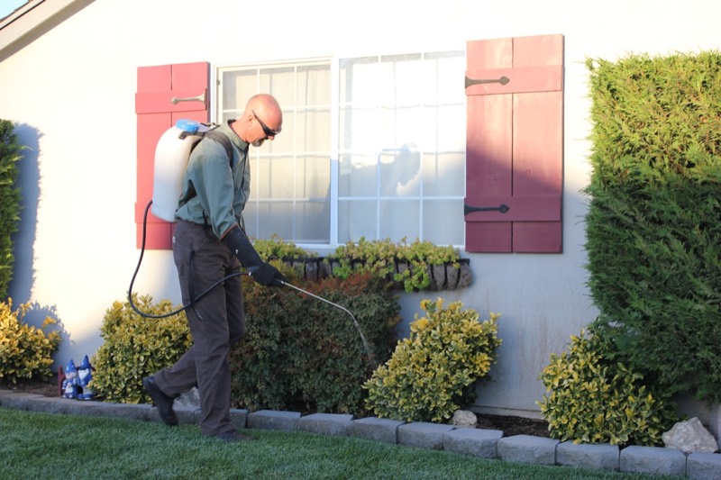 Pest control